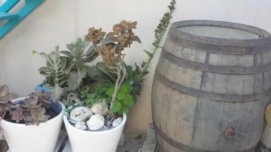 ApartMasseria Villa Marchesi - 272