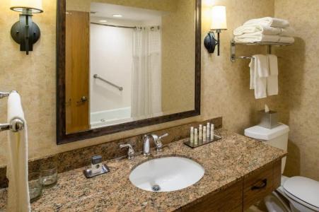 DoubleTree by Hilton Seattle Airport - 39
