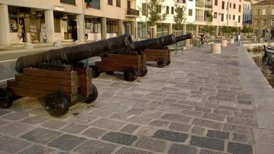 Ruža - 12