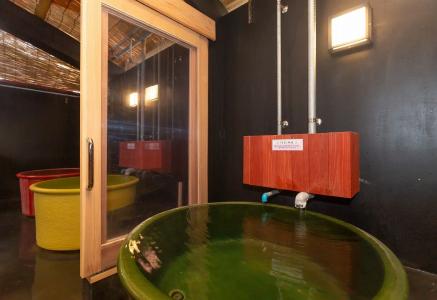 Iseya, Seaview Private Onsen Bath - 8