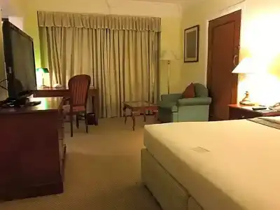 Le Royal Meridien Chennai - 106