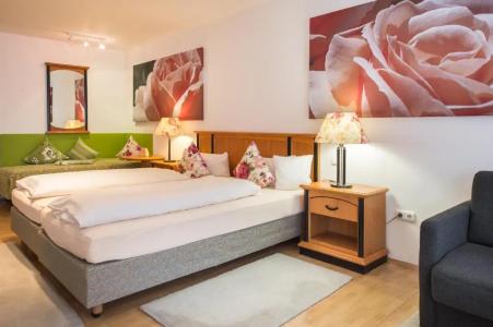 pension Vitalis - 77