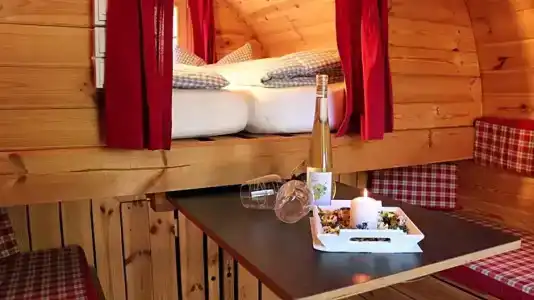 Azur Waldcamping Auwaldsee - 1