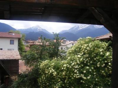 Todeva House and Tavern - 28