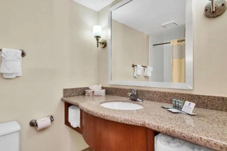 Best Western Orlando Gateway - 46