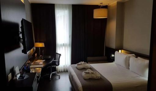 Best Western Premier Chc Airport - 49