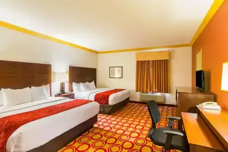 Quality Suites - 2