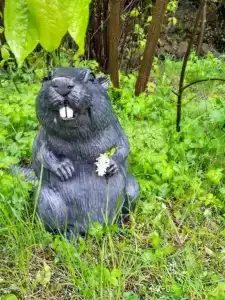 Коттеджи в Абзаково - 32