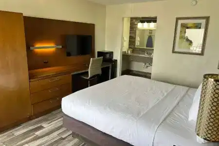 Quality Inn & Suites Downtown - 3