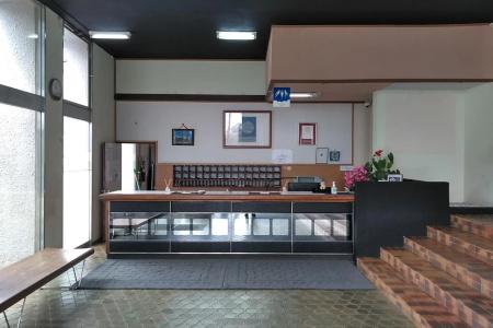 Oyo Aoshima Suikoen Miyazaki - 7