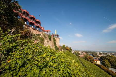 LandKauzenberg - 23