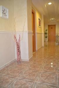 Castelfidardo - 9