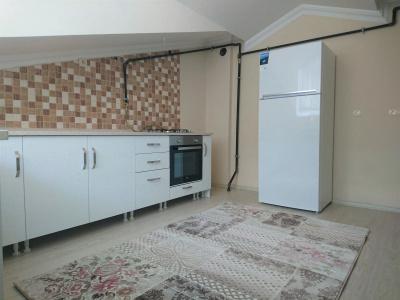 Cerrahpasa Apart - 19