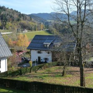 Bayerischer Hof - 146