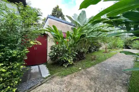 Tanya Baan Bon Doi - 25