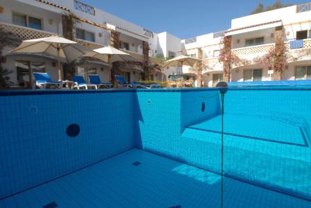 Camel Dive Club & - Boutique - 13