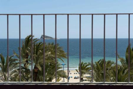 El Palmeral - 19