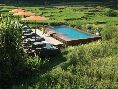Four Seasons Resort Chiang Mai -Sha Plus - 8