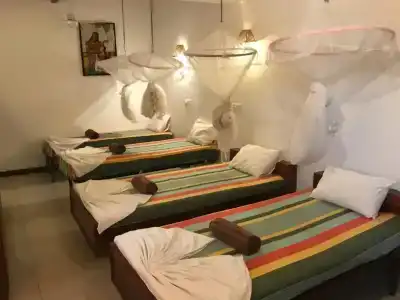 Star Holiday Resort - 50