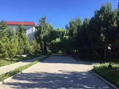 Тулпар - 16