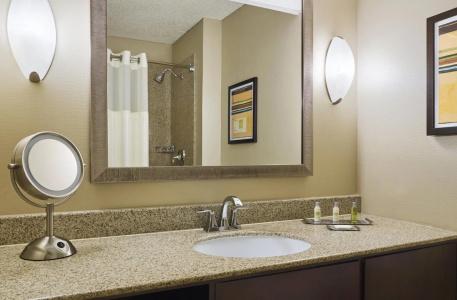 DoubleTree by Hilton Houston Intercontinental Airport - 10