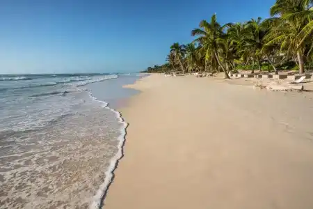 The Beach Tulum - 26