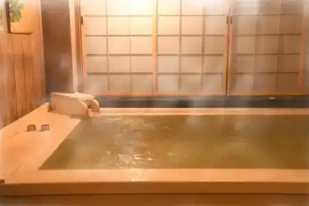 Seikoro Ryokan - Established in 1831 - 6