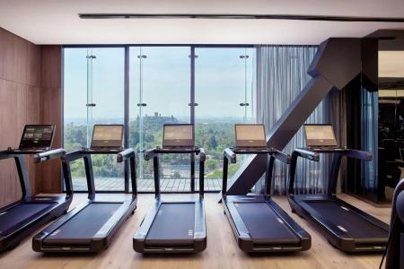 The Ritz-Carlton, Mexico City - 19