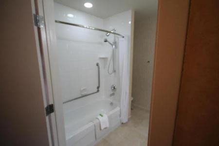 Best Western Plus Suites Downtown - 53