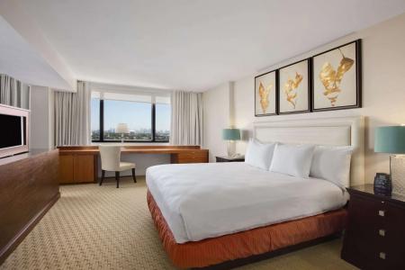 Hilton Miami Airport Blue Lagoon - 3