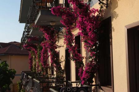 Green Anatolia Club - Halal All Inclusive - 29