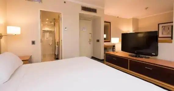 Holiday Inn Express Puerto Madero, An Ihg - 53