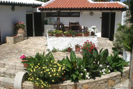 Oasis Guesthouse - 13