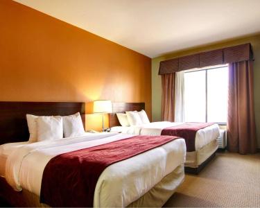 Comfort Suites West - 75