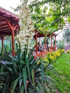 KiliÇ Motel - 27