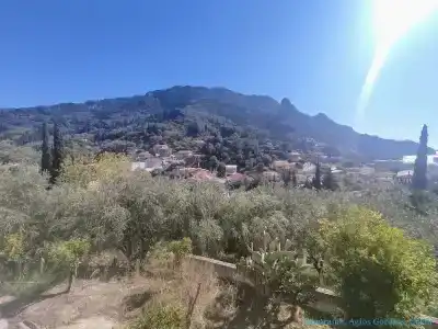 Panorama - 50