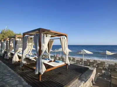 Aldemar Royal Mare - 45