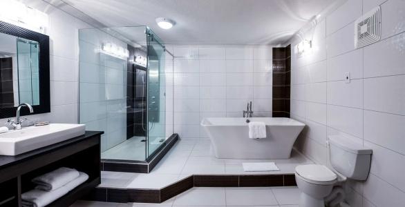 Best Western Plus Village Park Inn - 95