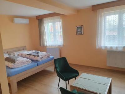 Pension Zelený strom - 12