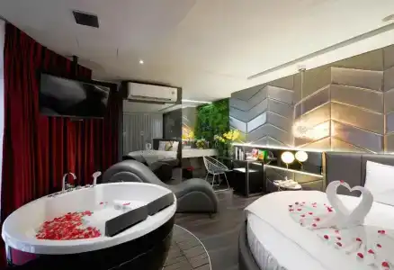 Bonita Signature - 25