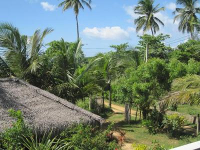 Beach Lagoon Guesthouse - 67