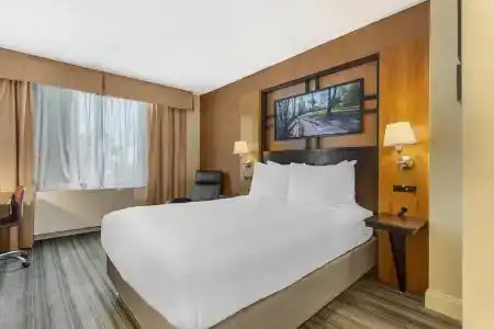 Best Western Gold Coast - 65