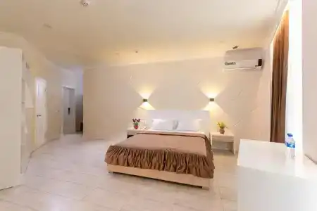 Tantana - 29