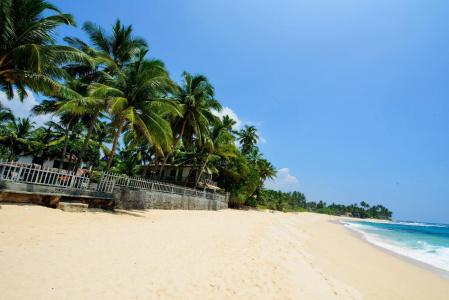 Amor Beach Unawatuna - 13