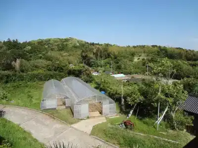 Farm Inn Minamiboso - 14