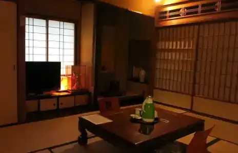 Fujiya Ryokan - 21