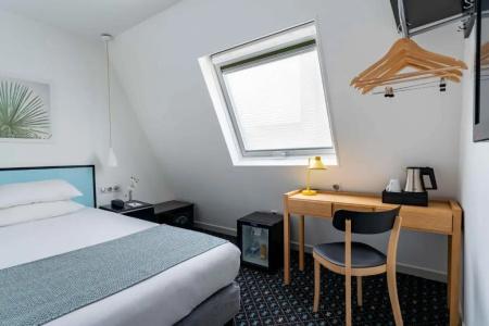 Palm - Astotel - 39