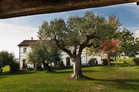 Coralia Country House - 86
