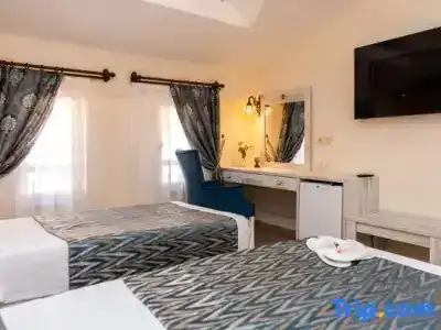 Portakal Dalyan - 25