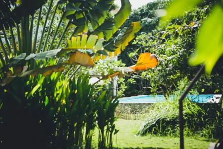Iroha Garden & Resort - 237